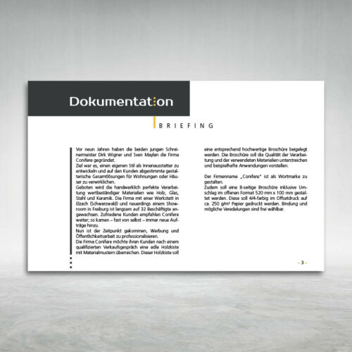 Dokumentation Briefing